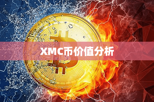 XMC币价值分析