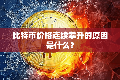 比特币价格连续攀升的原因是什么？