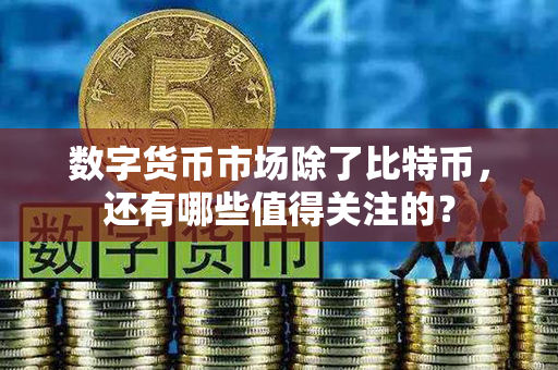 数字货币市场除了比特币，还有哪些值得关注的？