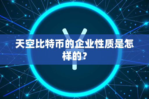 天空比特币的企业性质是怎样的？