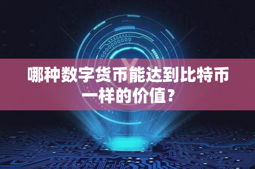 哪种数字货币能达到比特币一样的价值？