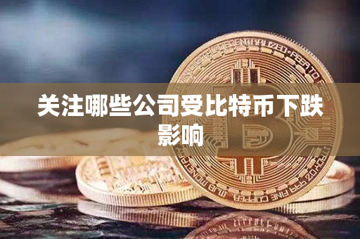 关注哪些公司受比特币下跌影响