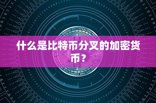 什么是比特币分叉的加密货币？