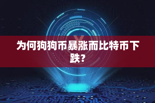 为何狗狗币暴涨而比特币下跌？